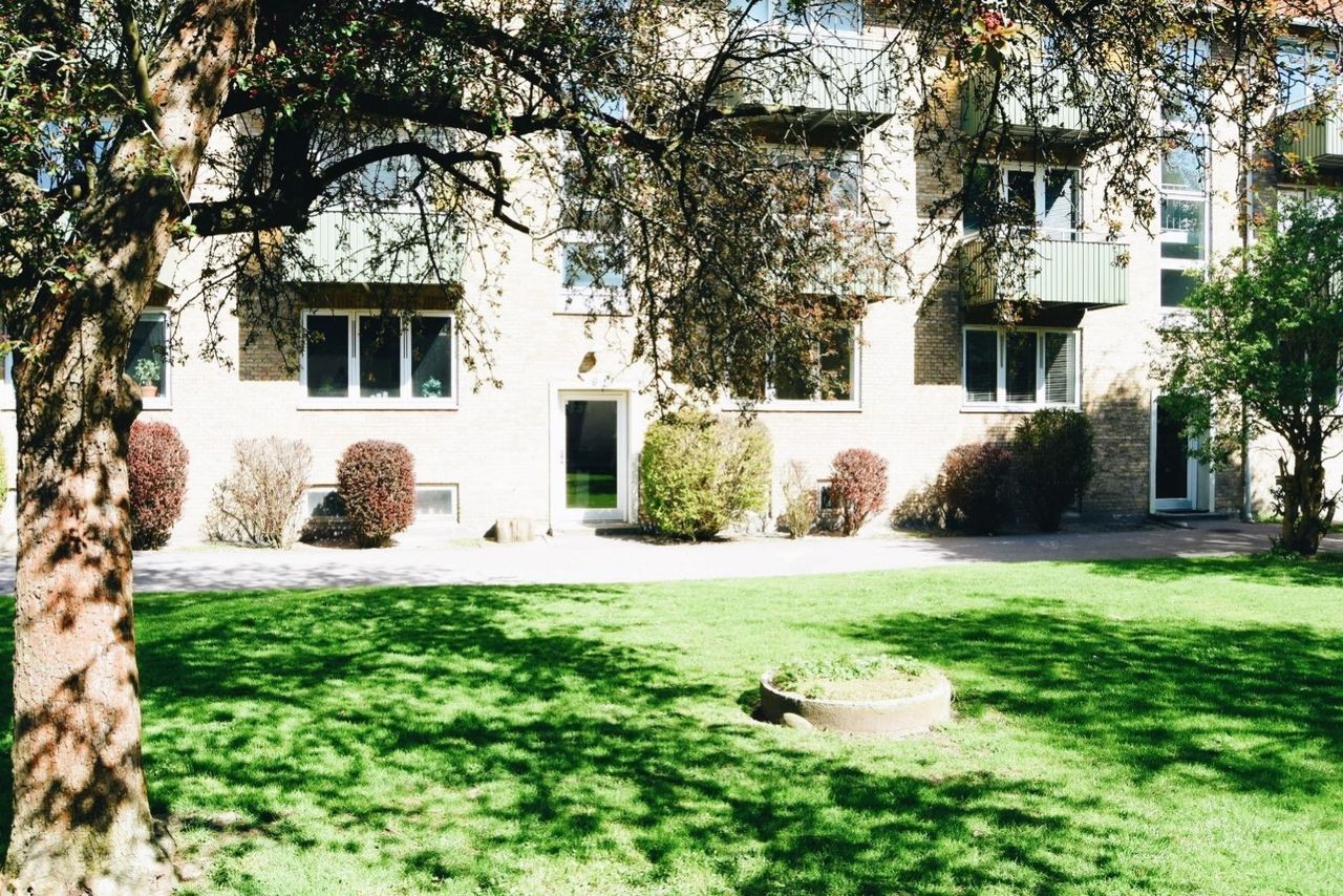 image 03