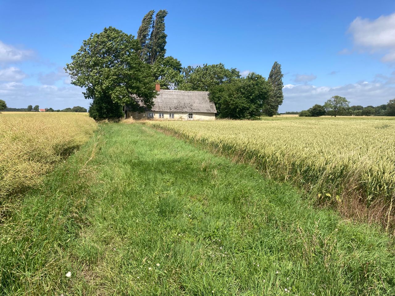 image 01