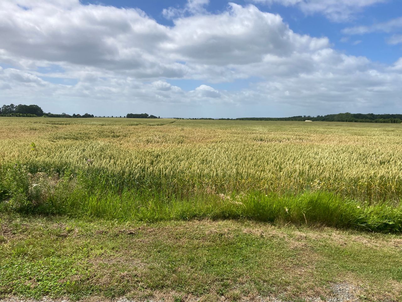 image 03